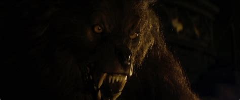 New Concept 15 Cursed Werewolf Movie