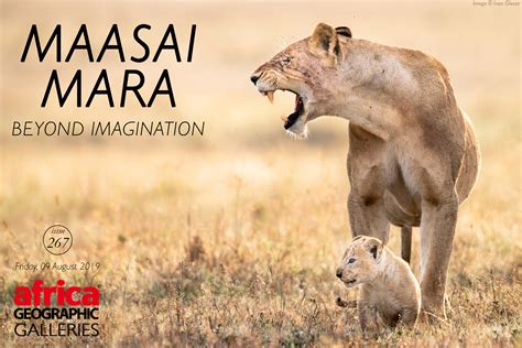 Maasai Mara Beyond Imagination Africa Geographic