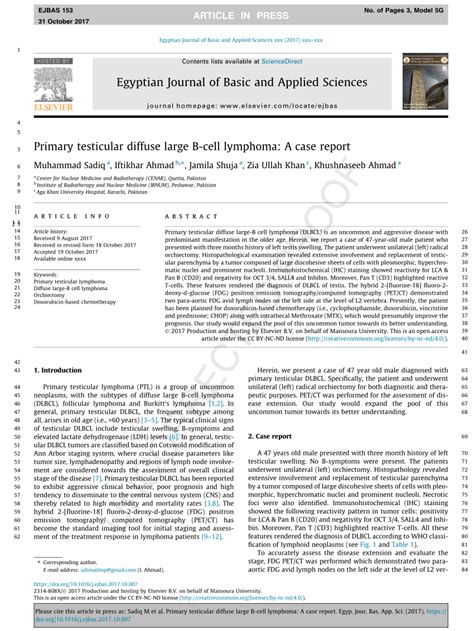 Pdf Primary Testicular Diffuse Large B Cell Lymphoma A Case Report