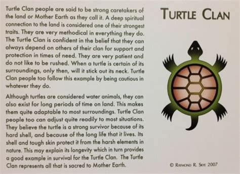 Image Result For Turtle Clan Native American Spirituality Turtle