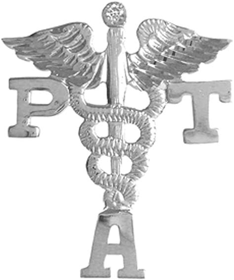 Nursingpin Physical Therapist Assistant Pta Lapel Pin