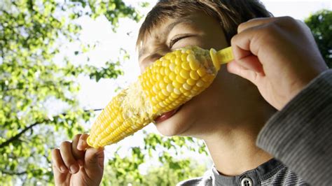 you ve been eating corn on the cob all wrong mental floss