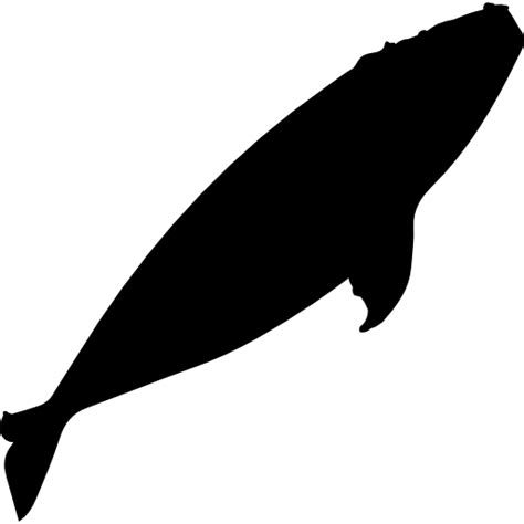 Right Whale Silhouette Free Animals Icons