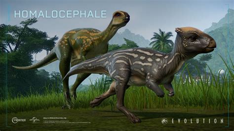 Jurassic World Evolution Herbivore Dinosaur Dlc Homalocephale 3
