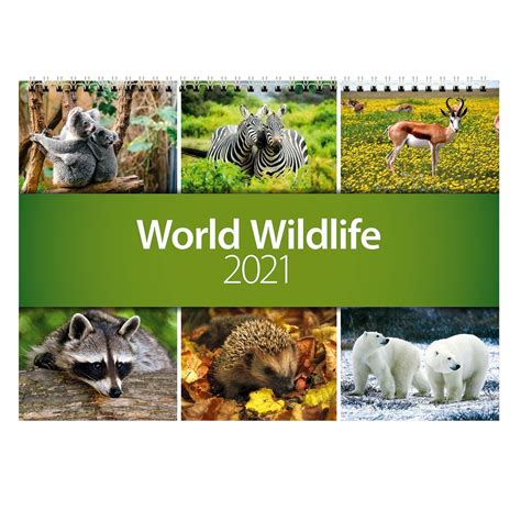 2021 World Wildlife Wall Calendar