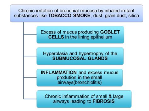 Pathology Of Chronic Bronchitis Pathology Made Simple