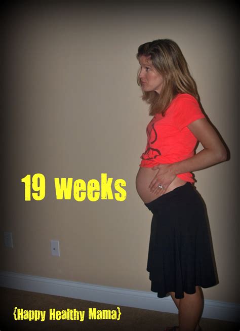 19 Weeks Pregnant Size