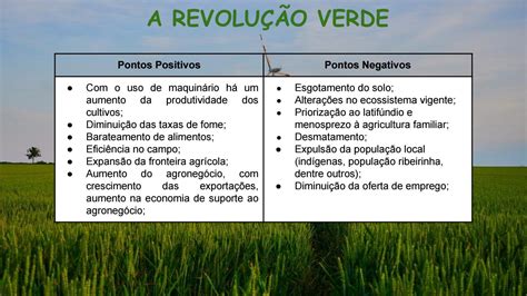 pontos positivos e negativos da revolução verde by LUCAS INGENLEUF JOUBEIR Issuu