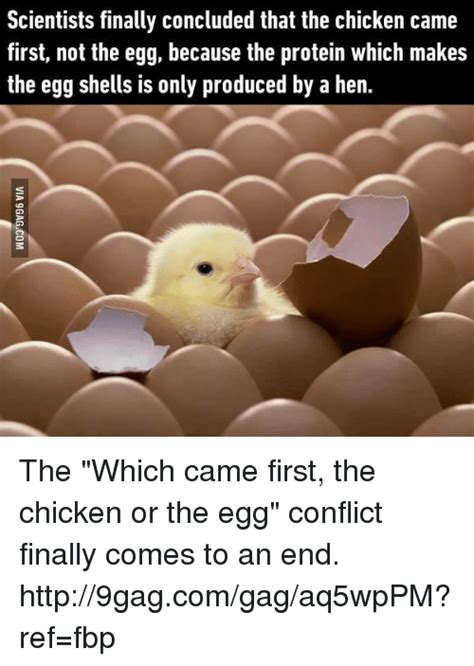 Scientists Finally Concluded That The Chicken Came First Not The Egg Because The Protein Which