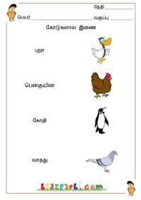 Some of the worksheets displayed are pre primary stage lkg ukg worksheets com for lkg tamil pdf kinchen co. Tamil Names, Tamil Learning for Children, Tamil for Grade 1 | Worksheets for kids, Kindergarten ...
