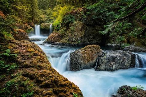 11 Of Americas Greatest National Forests Waterfall Ford Pinchot
