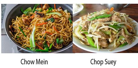 Chop Suey Vs Chow Mein 5 Huge Differences March 2019