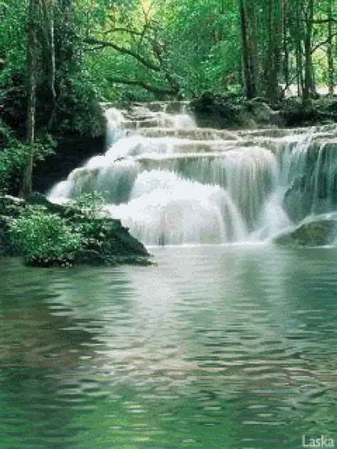 Foto Met Animatie Waterfall Photo Waterfall Pictures Beautiful Nature Pictures