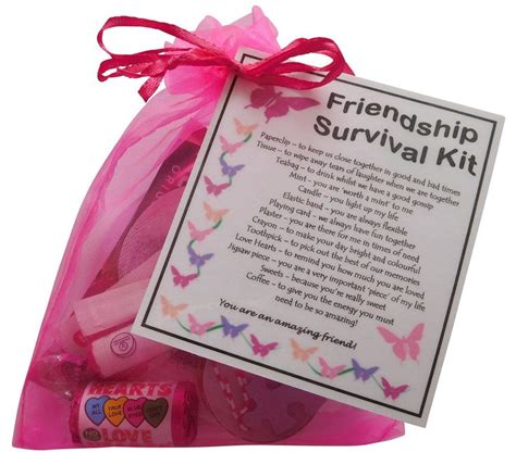 If your female best friend is a professional makeup artist she can use this every day to shoots and many other places. Friendship Survival Kit Gift (Great Friend Gift for ...