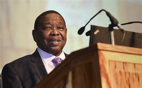 no reason for blade nzimande to resign