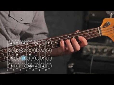 Understand the 12 notes in the musical alphabet. How to Play an E Minor Scale | Bass Guitar - YouTube