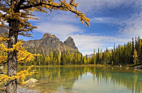 Nature Landscape Mountain Trees Forest Water Lake Stones Wallpaper
