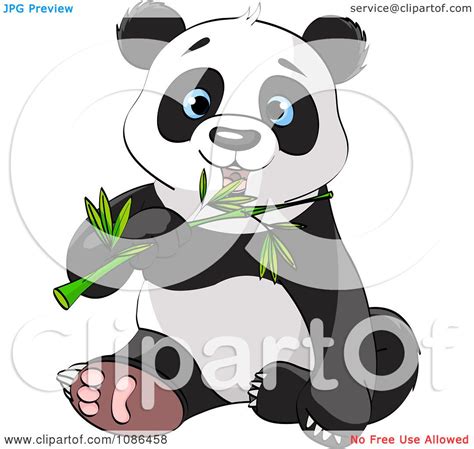 Clipart Cute Panda Sitting And Chewing On Bamboo Royalty Free Vector