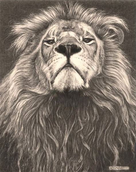 Strength Animal Tattoos Lion Art Lion Drawing