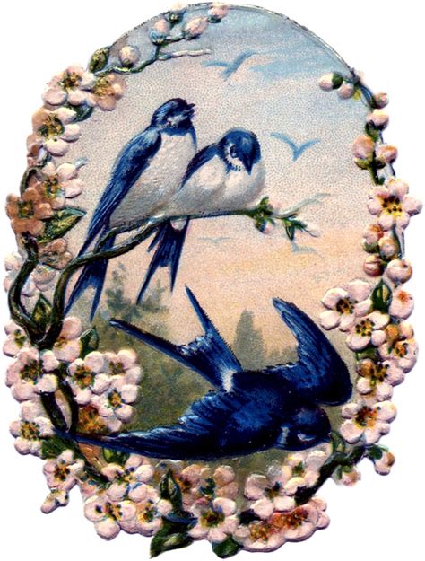 Vintage Birds With Flowers Scrap Pretty The Graphics