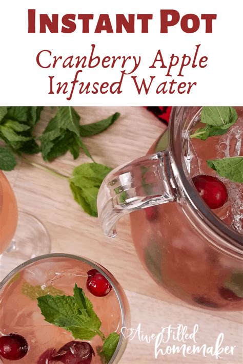 Instant Pot Cranberry Apple Infused Water Apple Cranberry Fruit