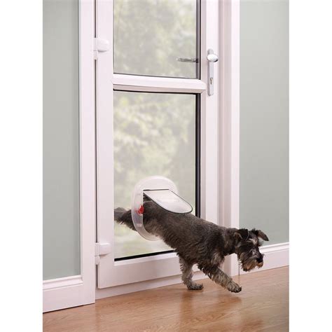 Installing a pet door in your glass door can be helpful for your pets to move in and out as and when it needs. PetSafe Staywell Big Cat/Small Dog Pet Flap Frosted ...