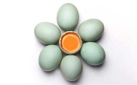 Ide kreatif dengan membuat frame poto dengan bahan : Serba Telur Asin. Siram Mi, Ayam, dan Udang Goreng Dengan ...