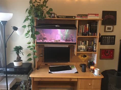 20 Gallon Long Aquarium Stand Diy