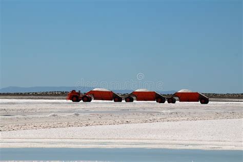 Sea Salt Mining In The Salt Flats Of The Lagoon At Ojo De Liebre Baja