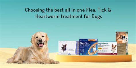 All In One Flea Tick And Heartworm Treatment For Dogs Canadavetexpress