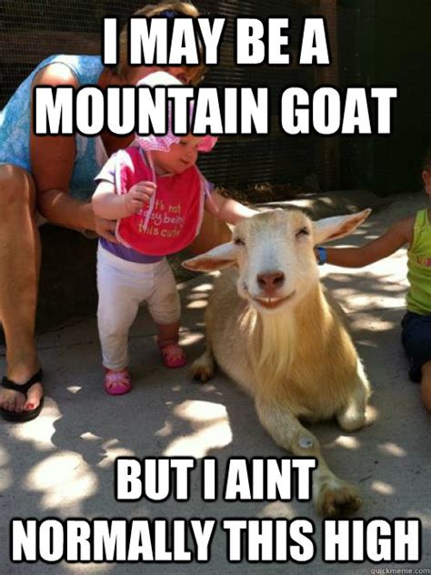 Make custom memes, add or upload photos with our modern meme generator! Goat Meme Funny Goat Pictures - Funny PNG