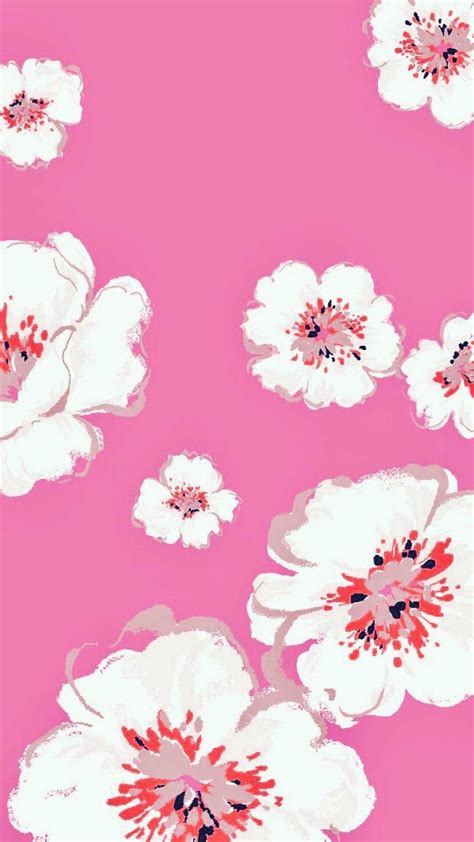Pink Floral Wallpaper Ixpap