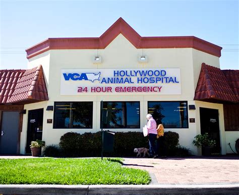Our Hospital Vca Hollywood Animal Hospital Primary