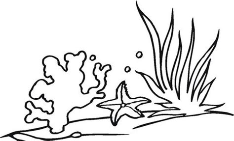 Sammlung von elisabeth emma lehner • zuletzt aktualisiert: Coral Reef Coloring page | Malvorlagen, Fische zeichnen ...