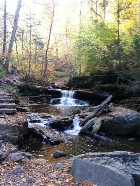 Ricketts Glen State Park Pa Waterfalls Trail Totally Awesome