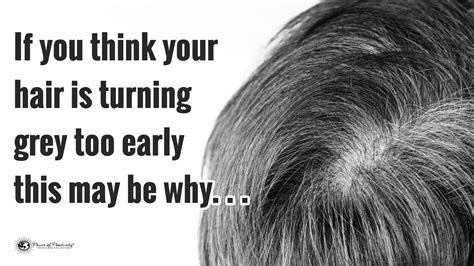 4 Reasons Your Hair Is Turning Grey Early Positivity Orangelife Grey Hair Early Age Early