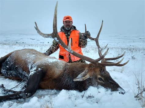 Montana Rifle Elk Hunt 10456