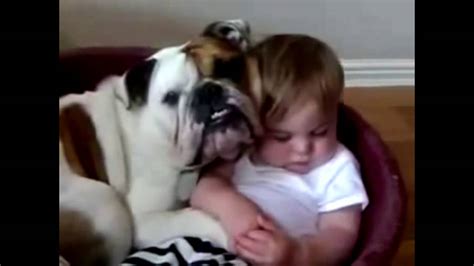 Adorable Dogs Protecting Babies And Kids Youtube