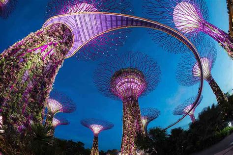 10 Best Romantic Places To Visit In Singapore For Your Honeymoon