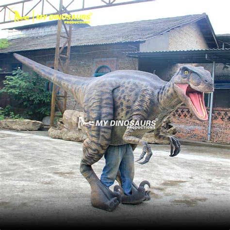 Dc 111 Realistic Dinosaur Costume Raptor Costume My Dinosaurs