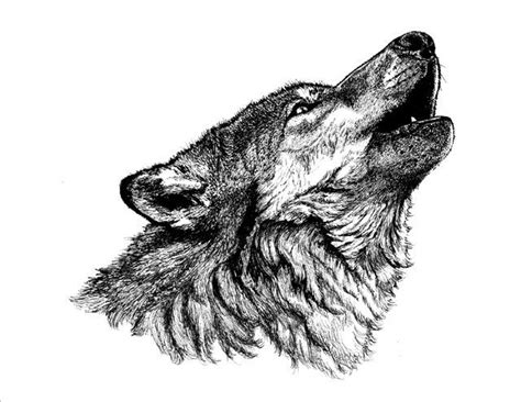 Wolf howling at moon solid icon, halloween concept, wolf and moon sign on white background, howling coyote icon in glyph. Singing to the moon (Sharon L Hill)