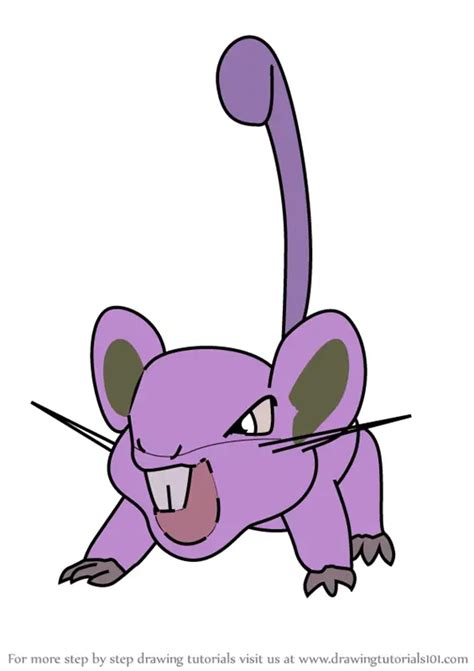 Rattata Coloring Page Coloring Pages
