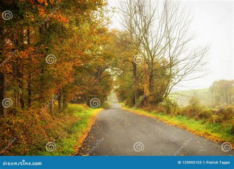 Foggy Country Road Stock Image Image Of Season Beauty 129092153