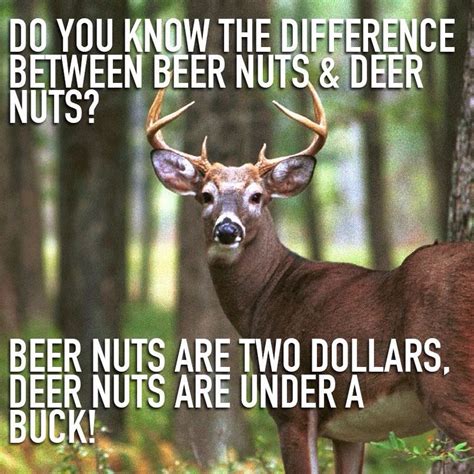 Funny Deer Hunting Pictures Jokes Freeloljokes
