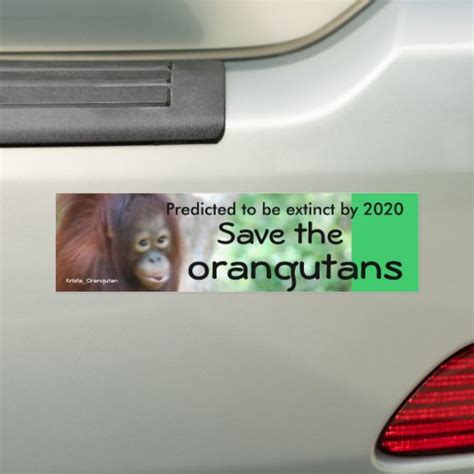 Animal Wildlife Conservation Bumper Sticker Zazzle