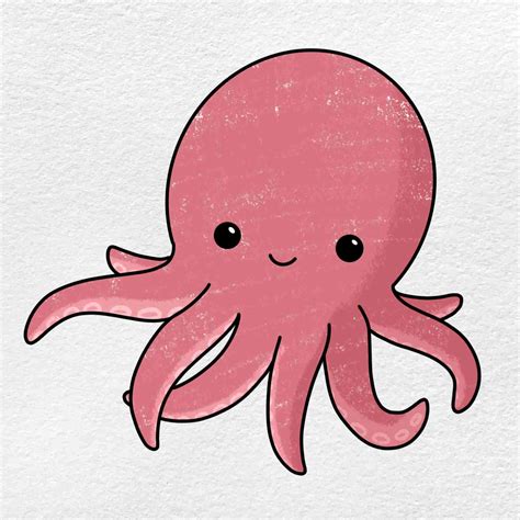 Colorful Octopus Drawings
