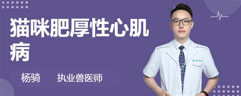 The site owner hides the web page description. 猫咪肥厚性心肌病 - 蘑菇宠医
