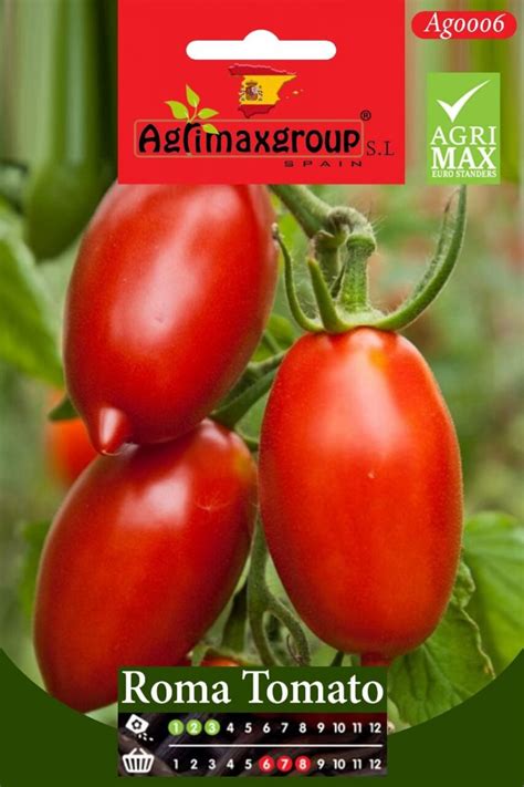 Roma Tomato Agrimax Seeds Buy Online In Uaegreen Souq Uae