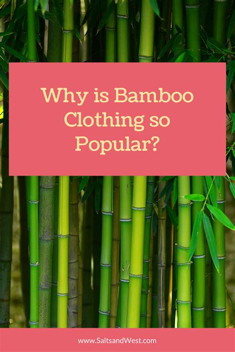 Why Is Bamboo Clothing So Popular