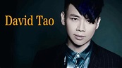 David Tao 精選集 | David Tao 最愛2017年歌曲 Top Songs of 2017 [完全版 Complete ...